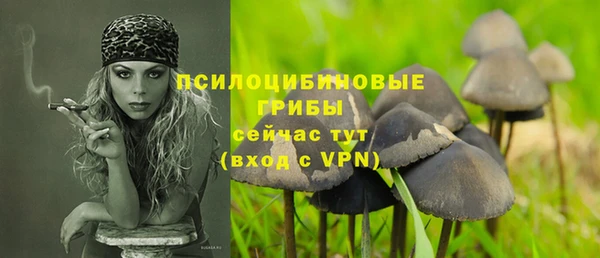 apvp Остров