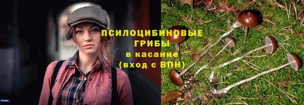 метадон Осташков
