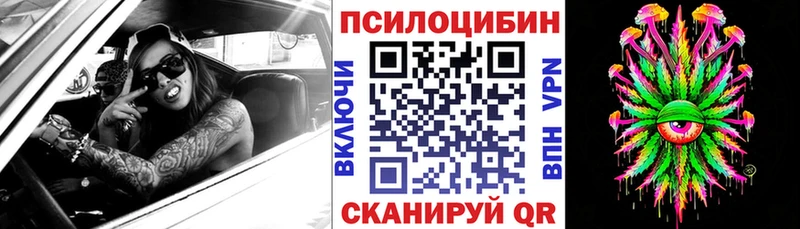 Купить где Цоци-Юрт Галлюциногенные грибы GOLDEN TEACHER