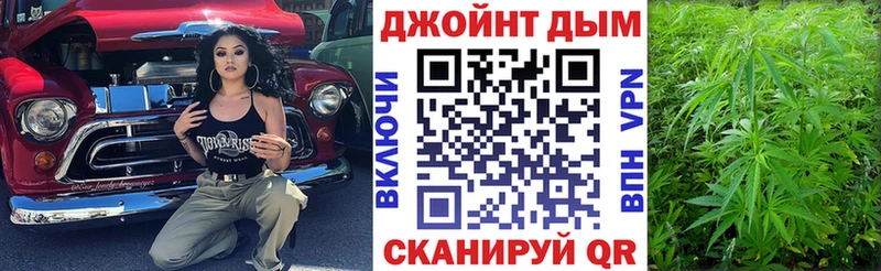 Купить где Цоци-Юрт Бошки Шишки конопля